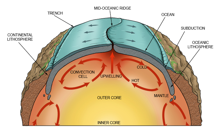 Thermal convection in the mantle – the layer between the earth's core and the crust – causes movement of tectonic plates. This thermal convection is the movement that results from hot material rising and cooler material sinking inside the mantle. This flo